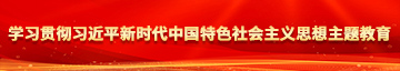 骚鸭.av学习贯彻习近平新时代中国特色社会主义思想主题教育