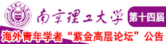 鸡巴操逼国产南京理工大学第十四届海外青年学者紫金论坛诚邀海内外英才！